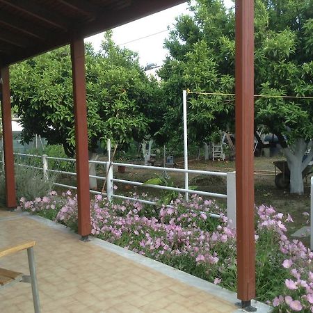 Studios Lalu Skiathos Town Ngoại thất bức ảnh