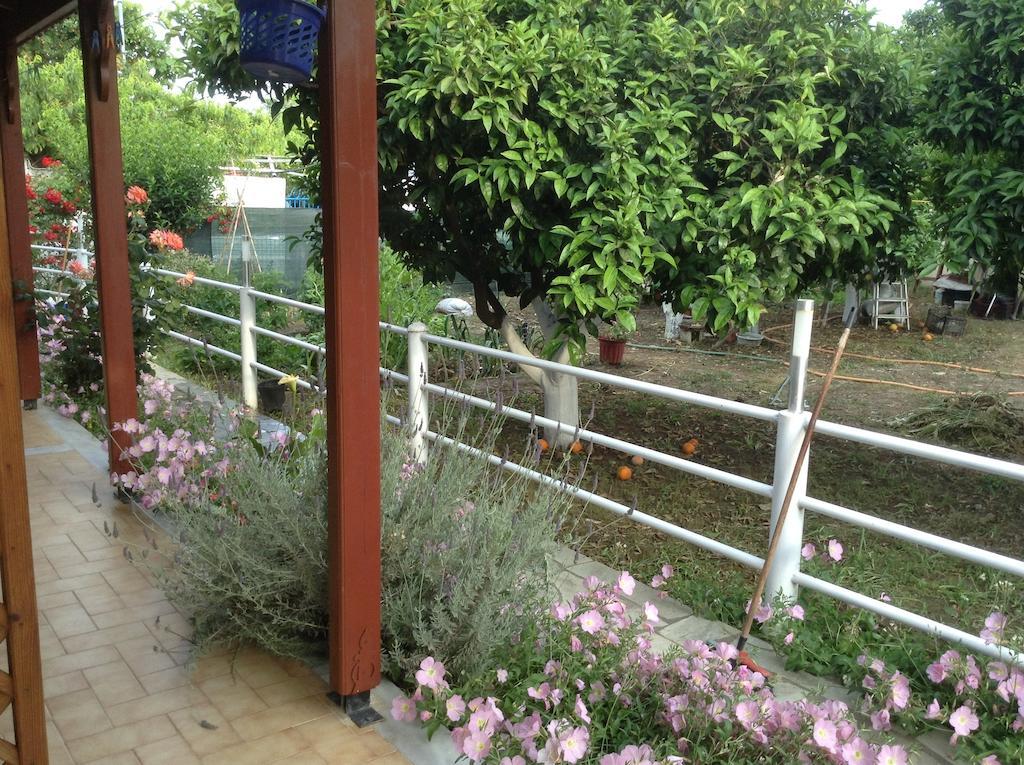 Studios Lalu Skiathos Town Phòng bức ảnh