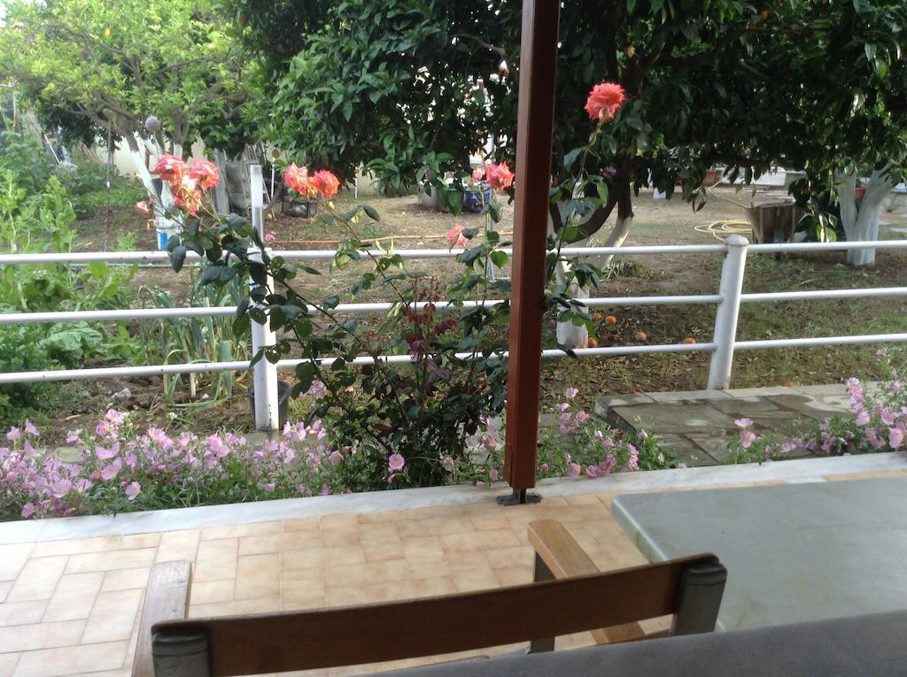Studios Lalu Skiathos Town Ngoại thất bức ảnh