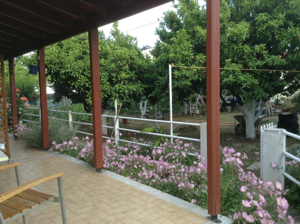 Studios Lalu Skiathos Town Ngoại thất bức ảnh
